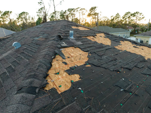 Best Roof Maintenance and Cleaning  in Azle, TX